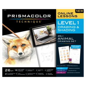 Technique Fox Drawing Art Set, Digital Lessons, Level 1