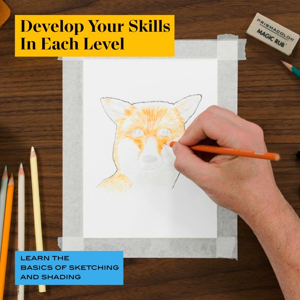 Technique Fox Drawing Art Set, Digital Lessons, Level 1 Technique Fox Drawing Art Set, Digital Lessons, Level 1