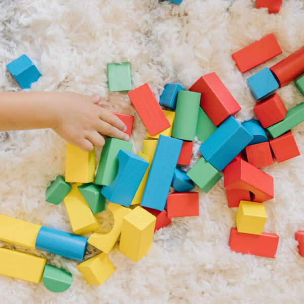 100 Piece Wood Blocks Set