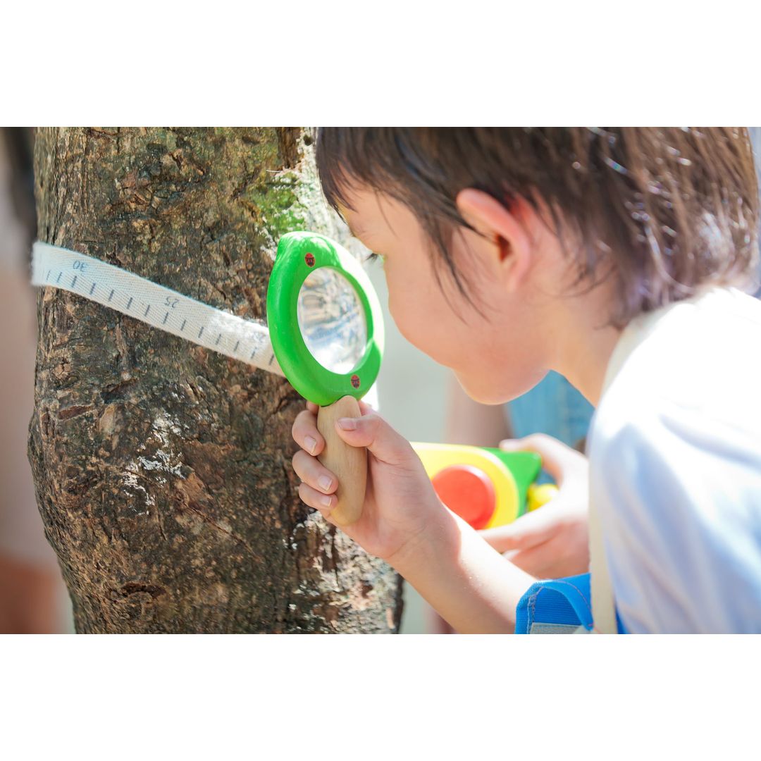 Leaf Magnifier Leaf Magnifier