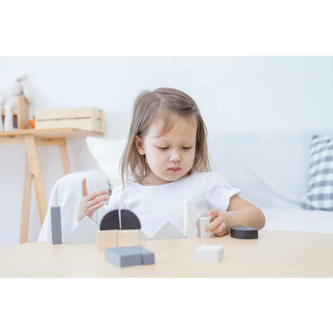 Fraction Blocks Fraction Blocks