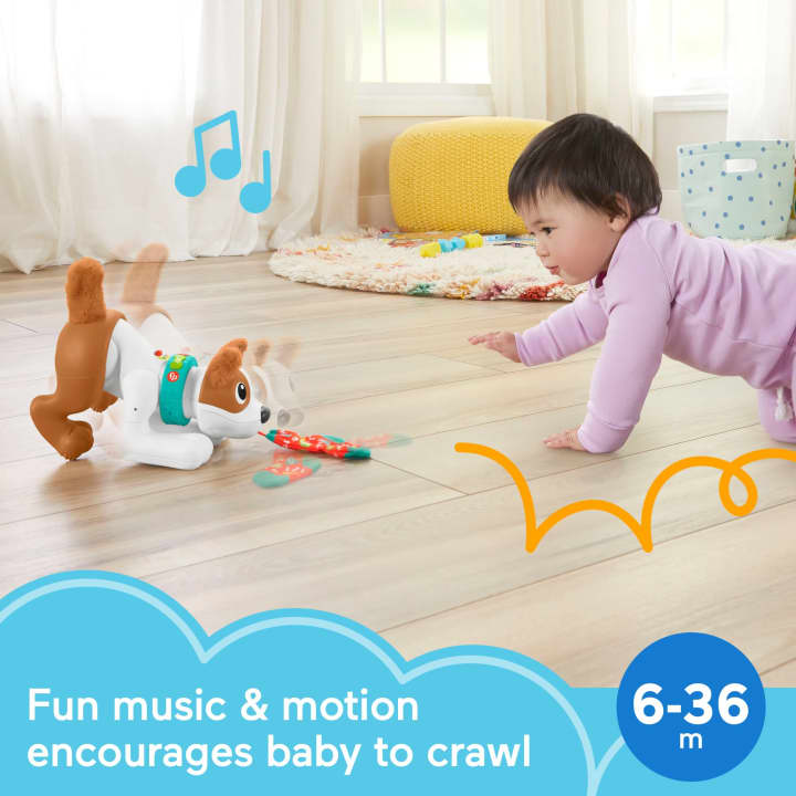Fisher-Price 123 Crawl With Me Puppy Infant Learning Toy Fisher-Price 123 Crawl With Me Puppy Infant Learning Toy