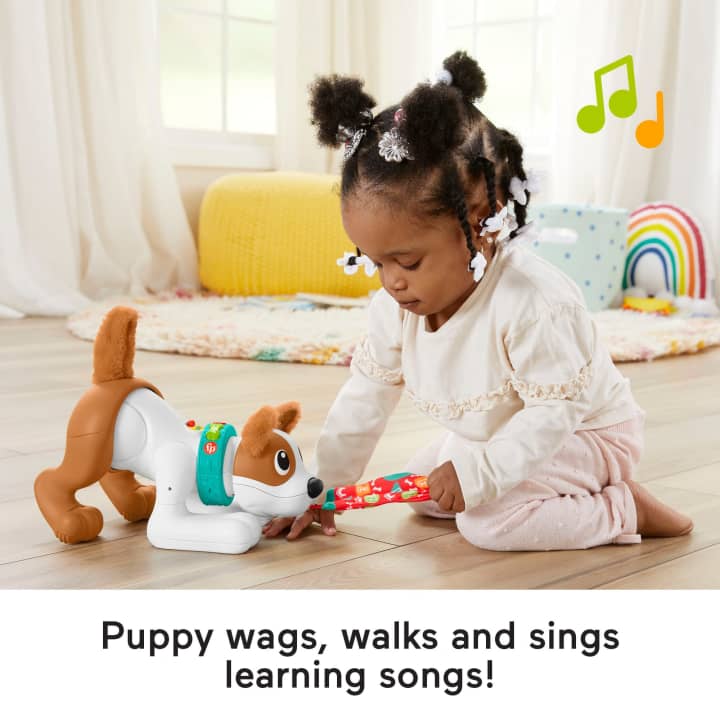 Fisher-Price 123 Crawl With Me Puppy Infant Learning Toy Fisher-Price 123 Crawl With Me Puppy Infant Learning Toy