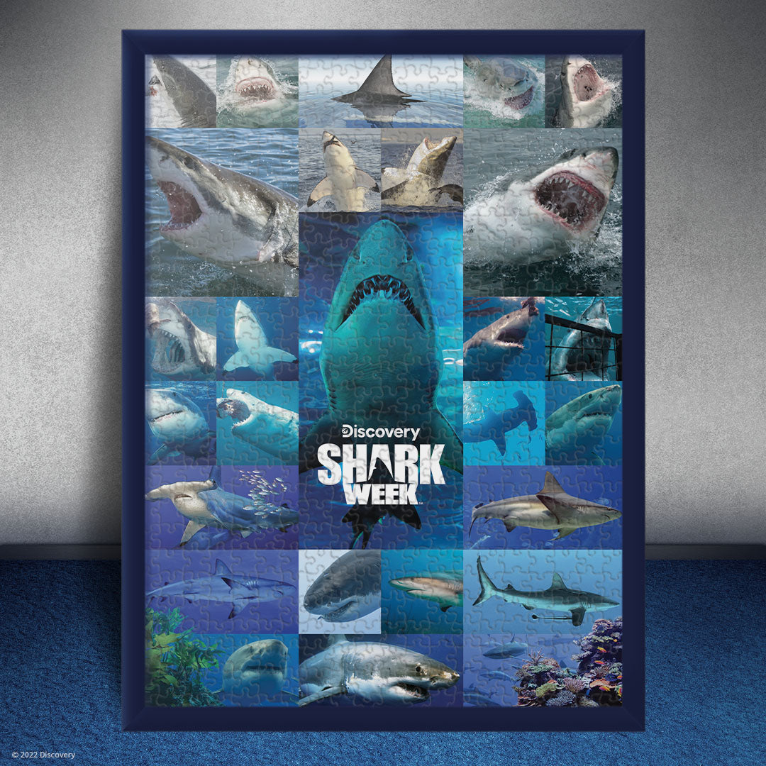 p20-3 Shark Week "Shiver of Sharks" 1000 Piece Puzzle